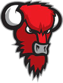 Bisons Loimaa - Bisons Loimaa Vs Kouvot Live Result