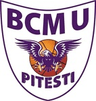 BCMUS Arges Pitesti - Bcmus Arges Pitesti Vs Elba Timisoara Prediction
