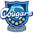Hitachi Hitech Cougars Women