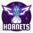 Charlotte Hornets - National Basketball Association