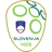Slovenia U17 - Uefa European U Championship 31819 Live Score Today