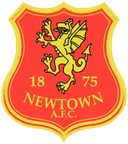 Newtown AFC - Afc VS Airbus Uk Broughton Live Score