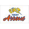 Toray Arrows - Hawks VS New York Knicks Result Today